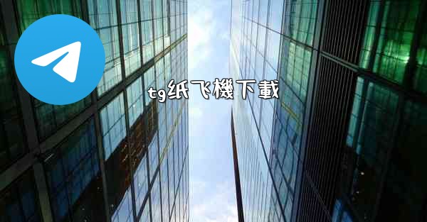 tg纸飞機下載