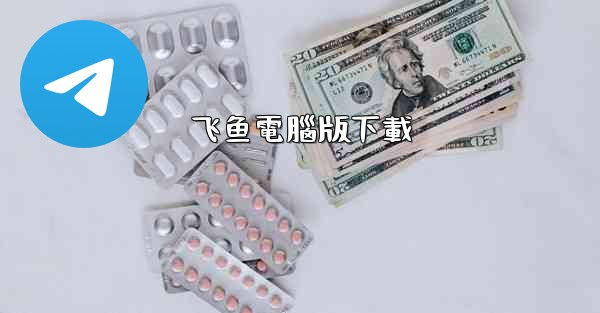 飞鱼電腦版下載