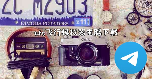 tfs飞行模拟器電腦下載