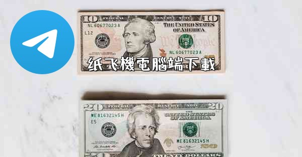 纸飞機電腦端下載