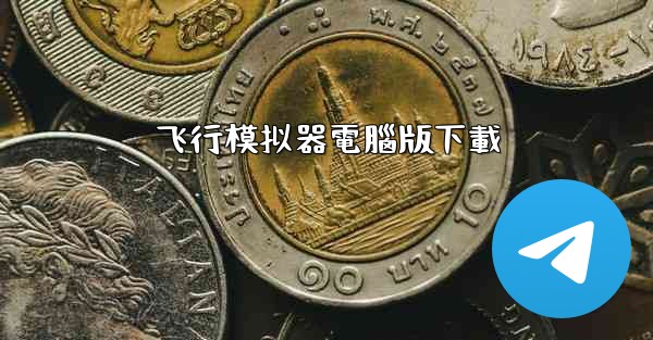 飞行模拟器電腦版下載