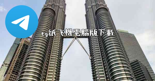 tg纸飞機電腦版下載