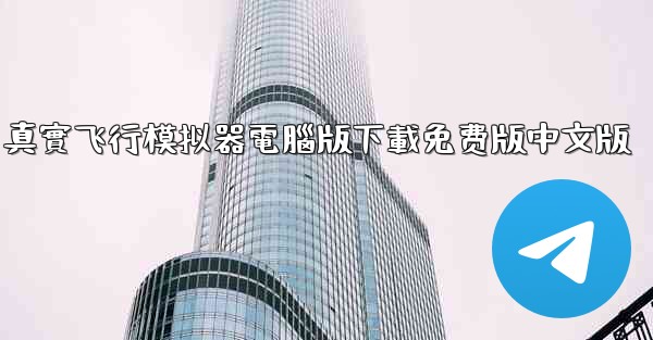 真實飞行模拟器電腦版下載免费版中文版