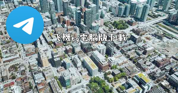 飞機tg電腦版下載