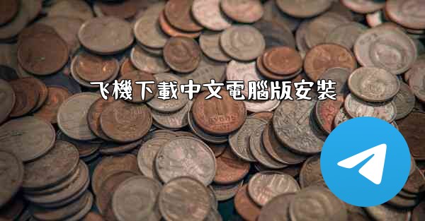 飞機下載中文電腦版安裝