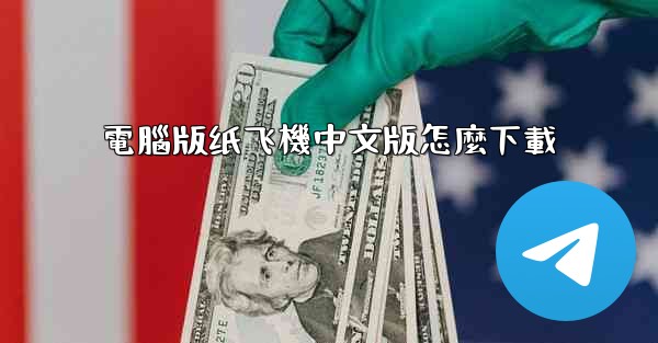 電腦版纸飞機中文版怎麼下載