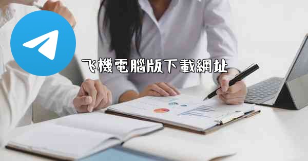 飞機電腦版下載網址