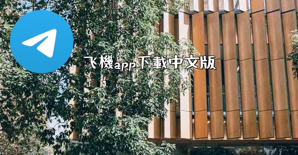 飞機app下載中文版