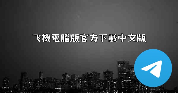 飞機電腦版官方下載中文版
