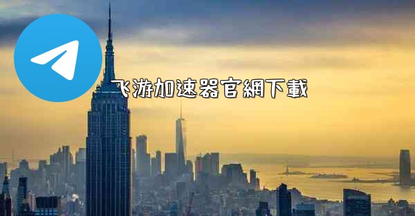 飞游加速器官網下載