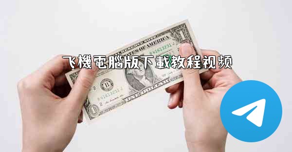 飞機電腦版下載教程视频