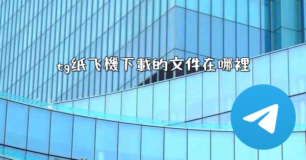 tg纸飞機下載的文件在哪裡