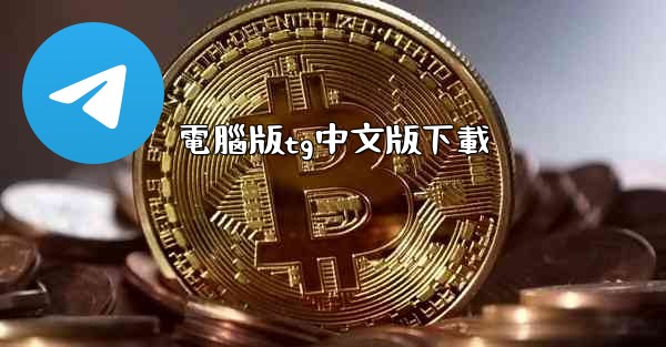 電腦版tg中文版下載