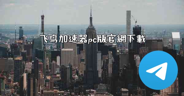 飞鸟加速器pc版官網下載