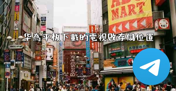 华為平板下載的電视剧存儲位置