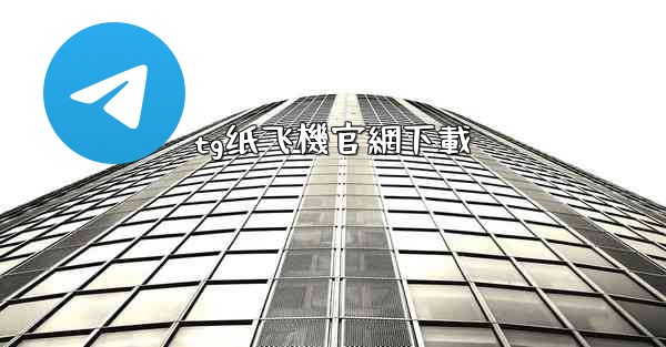tg纸飞機官網下載