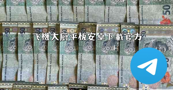 飞機大厨平板安卓下載官方