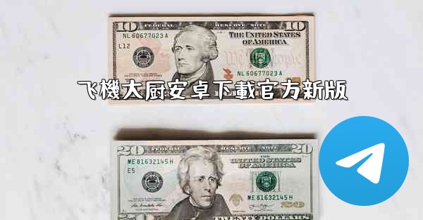 飞機大厨安卓下載官方新版