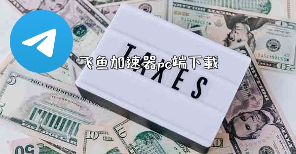 飞鱼加速器pc端下載