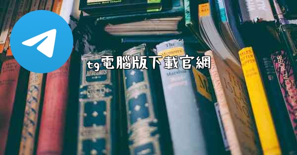 tg電腦版下載官網
