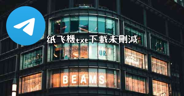 纸飞機txt下載未刪減