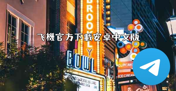 飞機官方下載安卓中文版