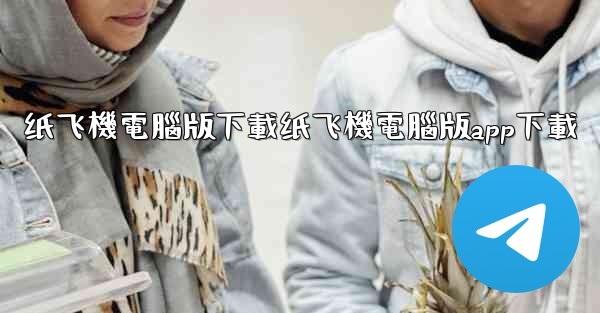 纸飞機電腦版下載纸飞機電腦版app下載
