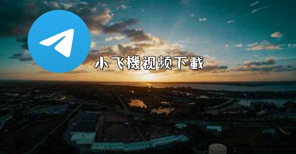 小飞機视频下載