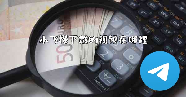 小飞機下載的视频在哪裡