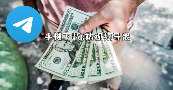 手機下載b站视频导出