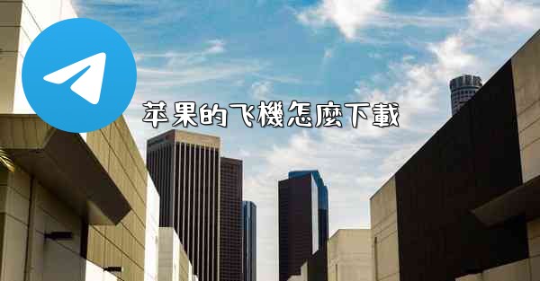 苹果的飞機怎麼下載