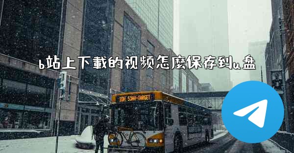 b站上下載的视频怎麼保存到u盘