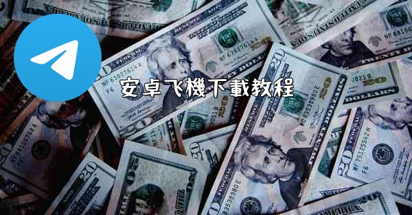 安卓飞機下載教程