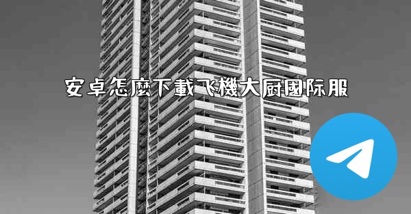 安卓怎麼下載飞機大厨國际服