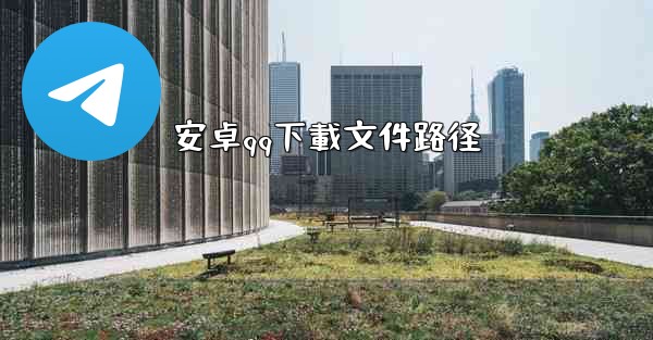 安卓qq下載文件路径