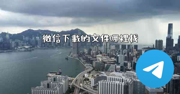 微信下載的文件哪裡找