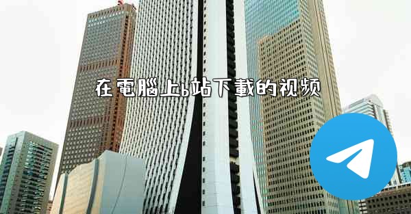 在電腦上b站下載的视频