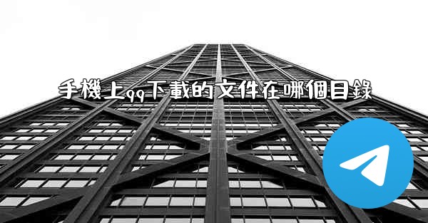 手機上qq下載的文件在哪個目錄
