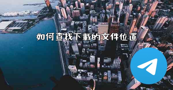 如何查找下載的文件位置