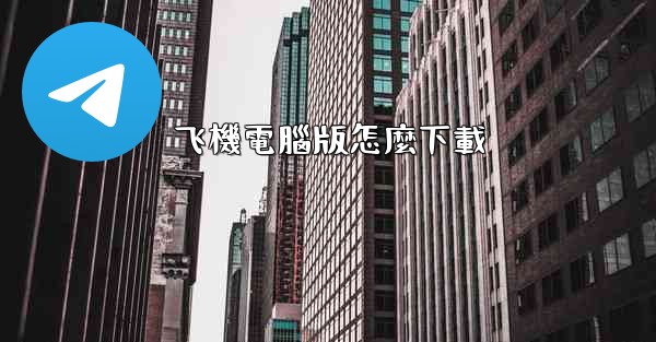 飞機電腦版怎麼下載