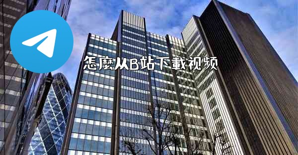 怎麼从B站下載视频