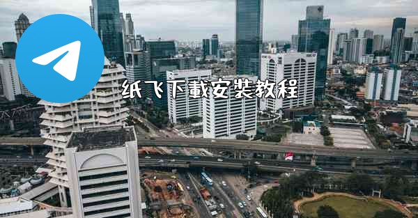 纸飞下載安裝教程