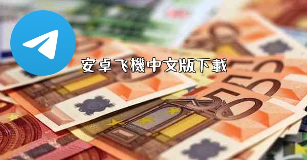 安卓飞機中文版下載