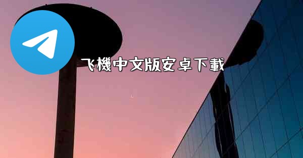 飞機中文版安卓下載