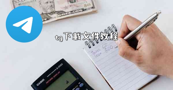 tg下載文件教程