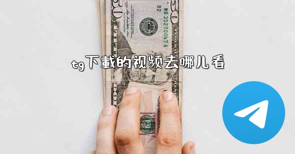 tg下載的视频去哪儿看