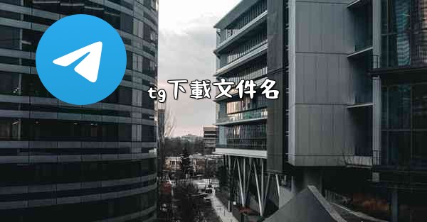 tg下載文件名