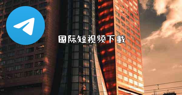 國际短视频下載