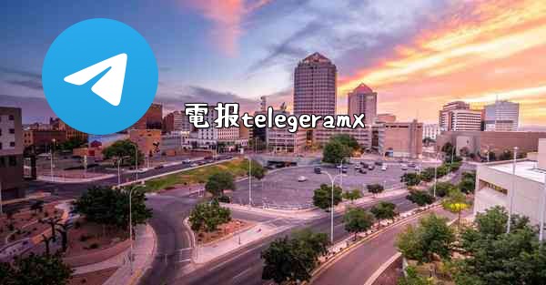 電报telegeramx