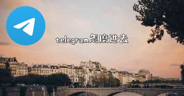 telegram怎麼进去